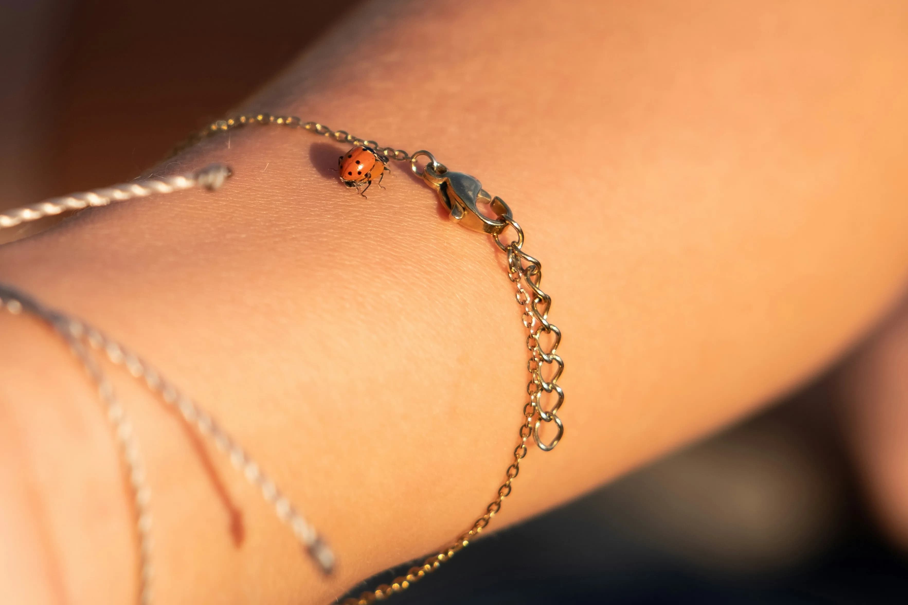 Bracelets Jewellery Collection